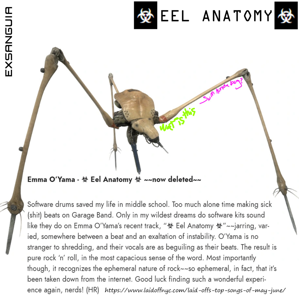 EXSANGUIA - ☣ Eel Anatomy ☣