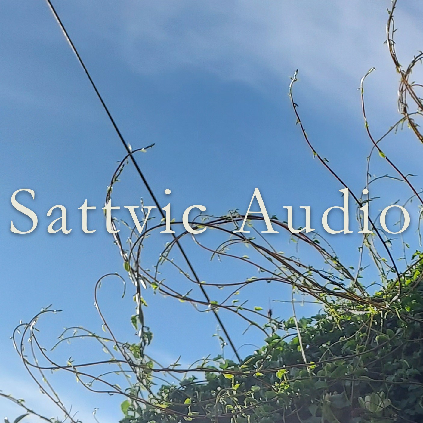 Sattvic Audio (Daily Meditation Music)