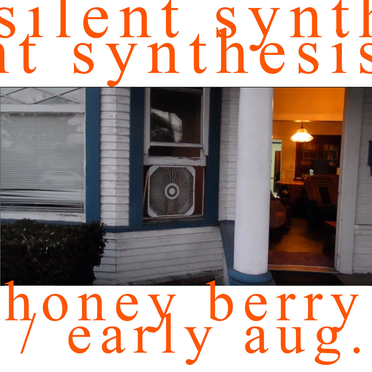 Silent Synthesis - Early August / Honey Berry